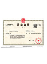 龙文营业执照副本